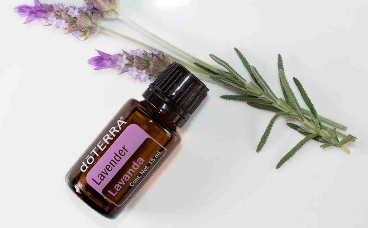 Lavanda Dōterra® Una Experiencia Relajante Y Curativa De Spa En Casa Emprendedores Esenciales 8522